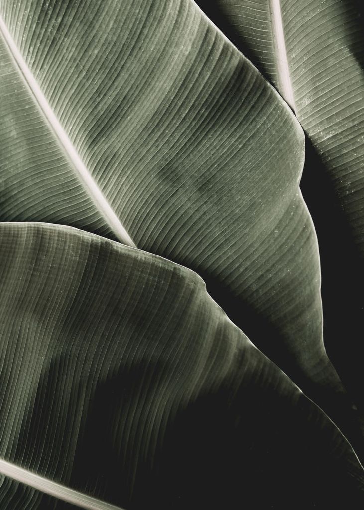 Rehaussement de cils 91, Browlift Essonne, Lifting des cils 91, Rehaussement de cils naturel Essonne, Browlift à domicile 91, Salon rehaussement de cils Essonne, Lifting des sourcils 91, Browlift naturel Essonne, Soins des cils 91, Atelier browlift Essonne, Rehaussement de cils Massy, Browlift à Évry, Beauté du regard 91, Browlift et rehaussement de cils Essonne, Rehaussement de cils longue durée 91, Browlift professionnel Essonne, Extension de cils 91, Soins sourcils Essonne, Salon de beauté browlift 91, Cils recourbés Essonne, Browlift sur mesure 91, Rehaussement de cils pour un regard intense Essonne, Traitement lifting sourcils 91, Rehaussement de cils pour volume Essonne, Browlift pour des sourcils parfaits 91, Lifting cils et sourcils Essonne, Salon rehaussement de cils Massy, Centre esthétique browlift Évry, Soins cils et sourcils 91, Browlift expert Essonne
vigneux
Savigny
Étampes
Lisses
Villeneuve le roi
Draveil
Champigny sur marne

Femme trans
transexuelle non binaire

cellulite
massage femme enceinte
massage ayurvédique